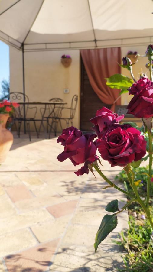 Il Casale Di Fiore Cannara Eksteriør bilde