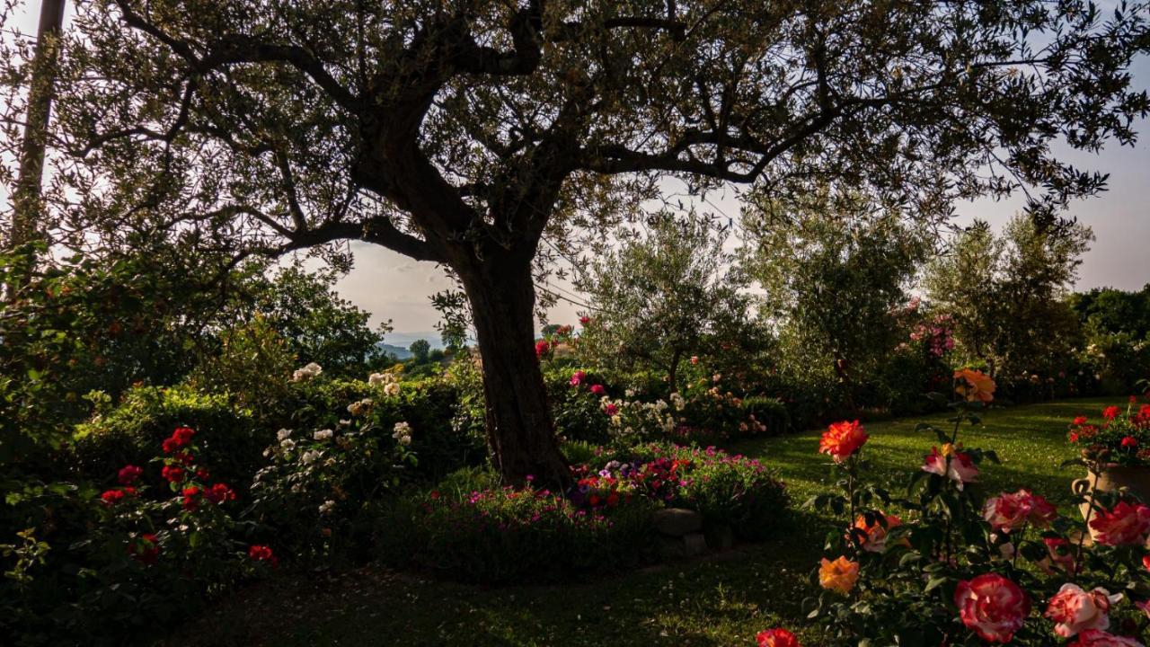 Il Casale Di Fiore Cannara Eksteriør bilde