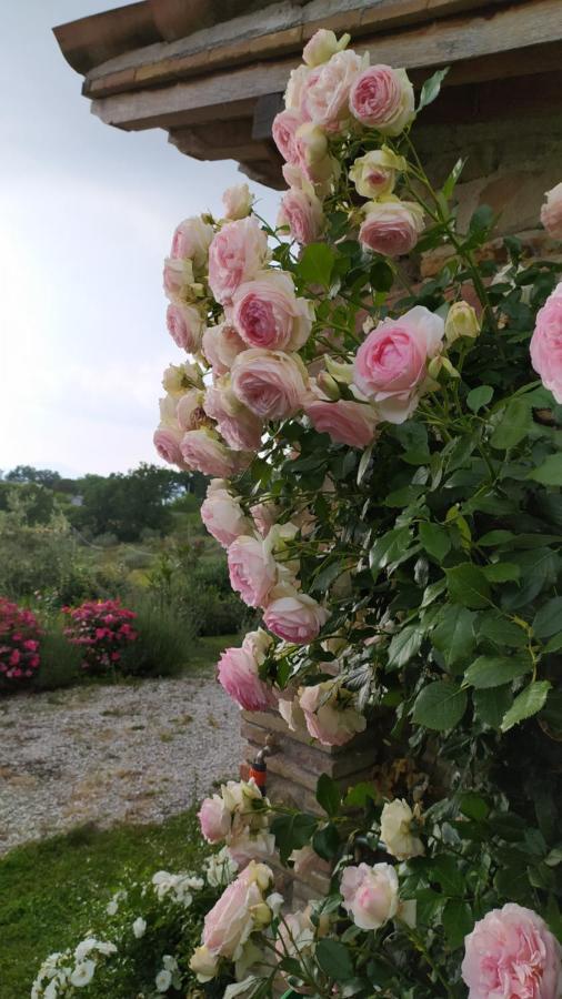 Il Casale Di Fiore Cannara Eksteriør bilde