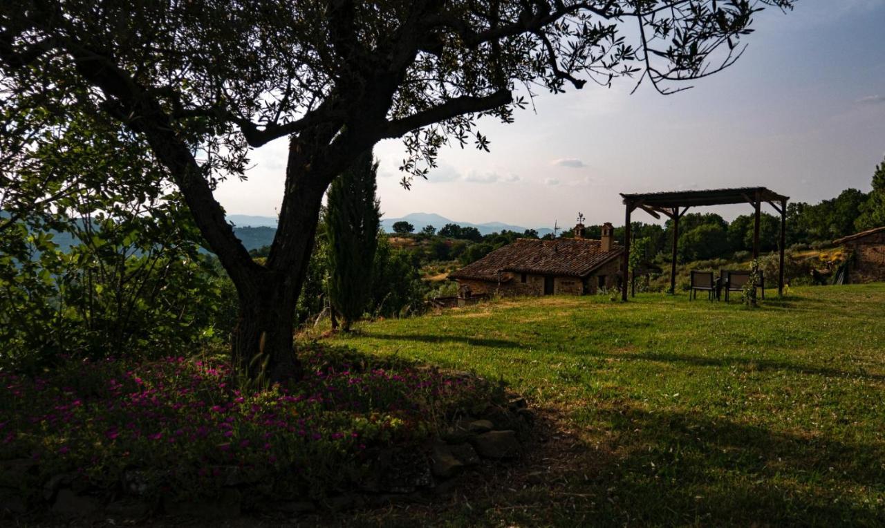 Il Casale Di Fiore Cannara Eksteriør bilde