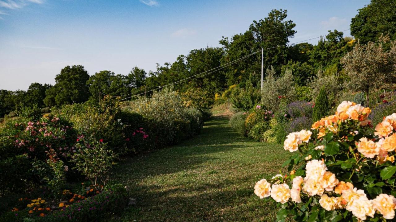 Il Casale Di Fiore Cannara Eksteriør bilde
